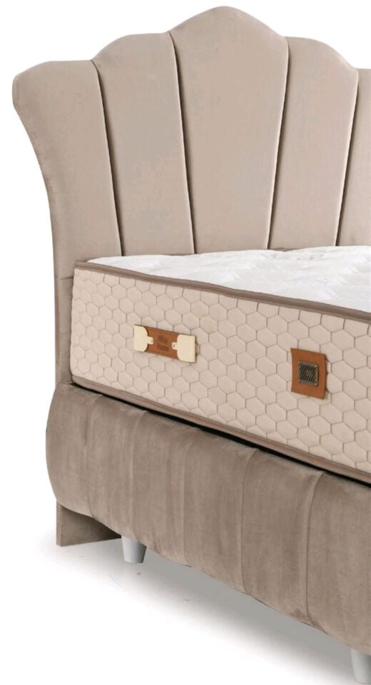 BEGONVİL BAZA BAŞLIK (90X190)