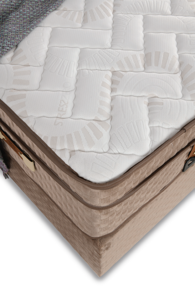 Mimoza Baza Başlık (90x190)